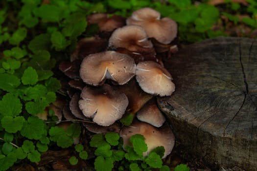 Progressives and casino games how to spot reliable progressives features